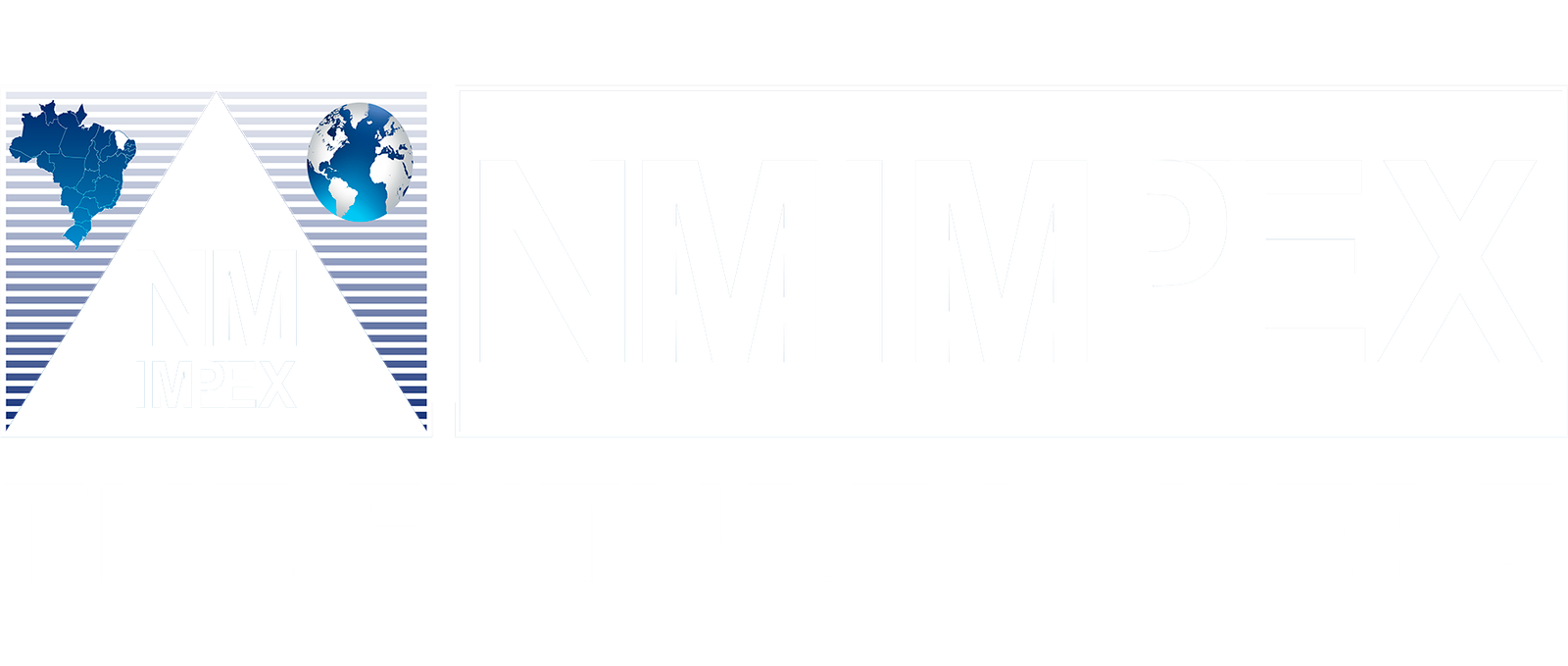 logo NMIMPEX